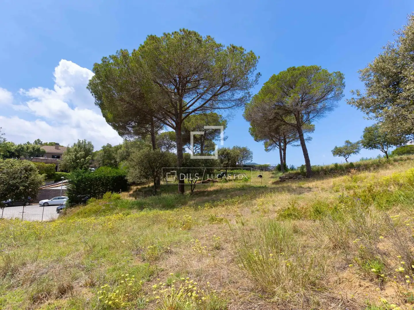 Rural land for sale in Vallromanes, imagen 17