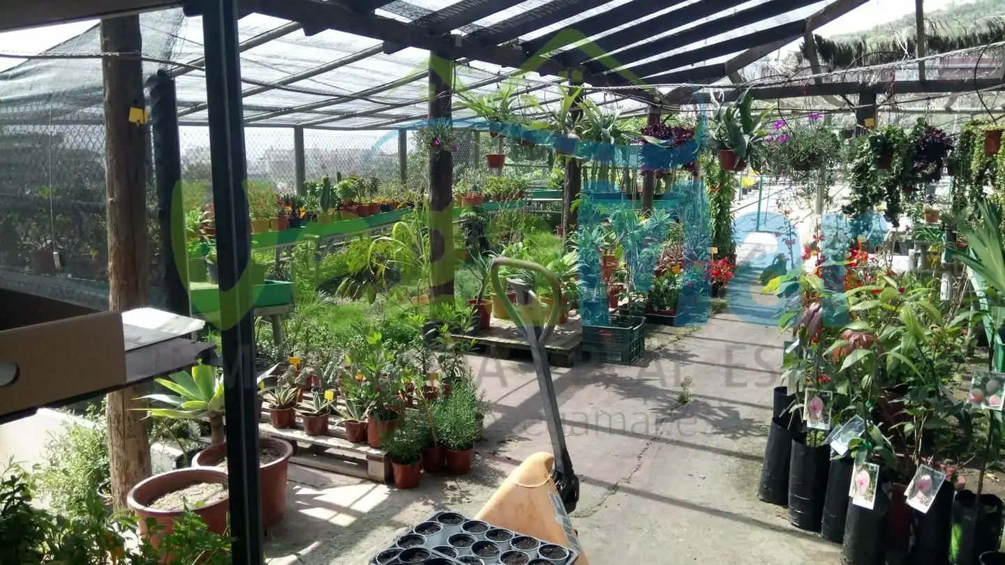 Business premises for sale in Velilla - Velilla Taramay, imagen 36