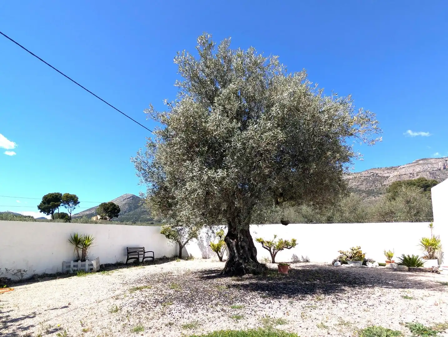 Jardín de Casa o chalet de alquiler en Gaianes