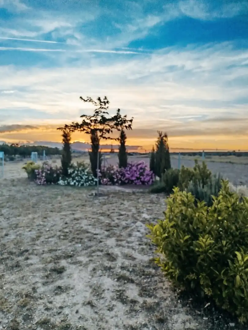 Garden of Land for sale in Tudela