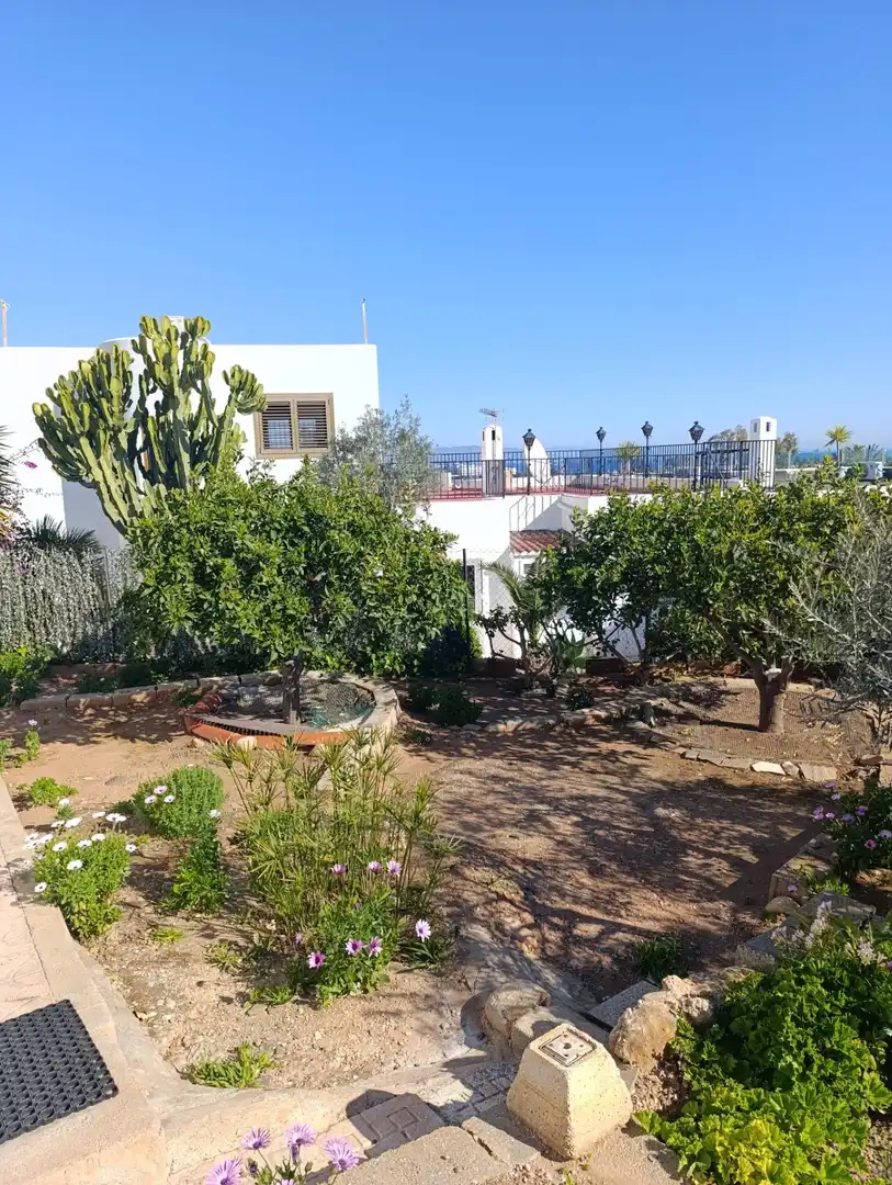 Detached house with terrace for sale in El Palmeral, imagen 39