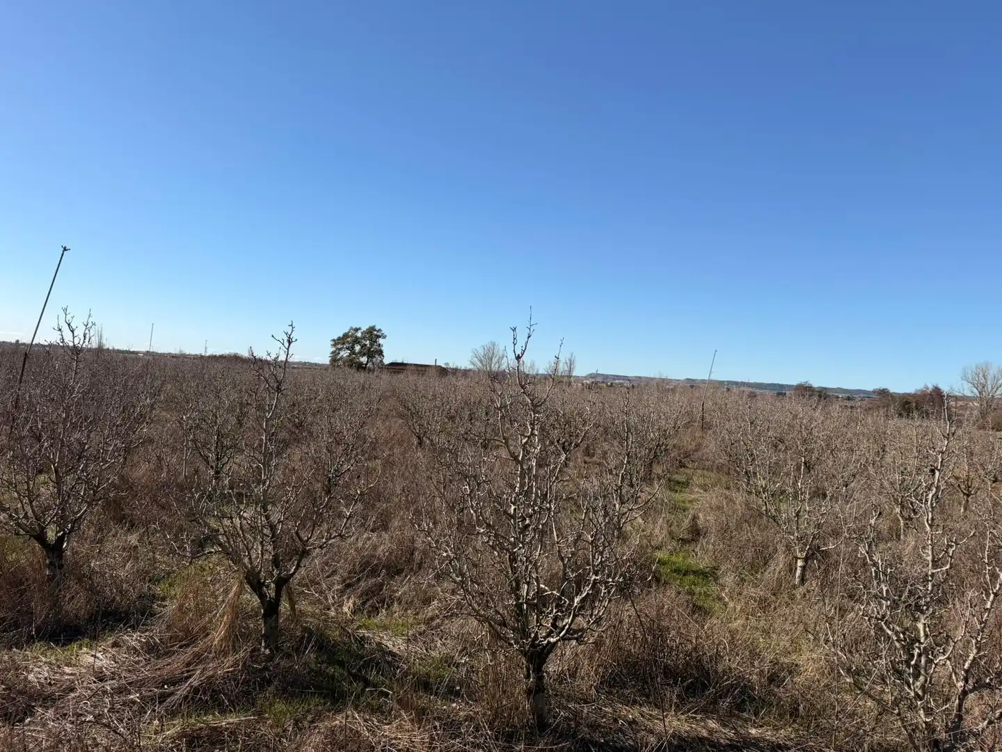 Terreno rustico in vendita a Corbins, imagen 9