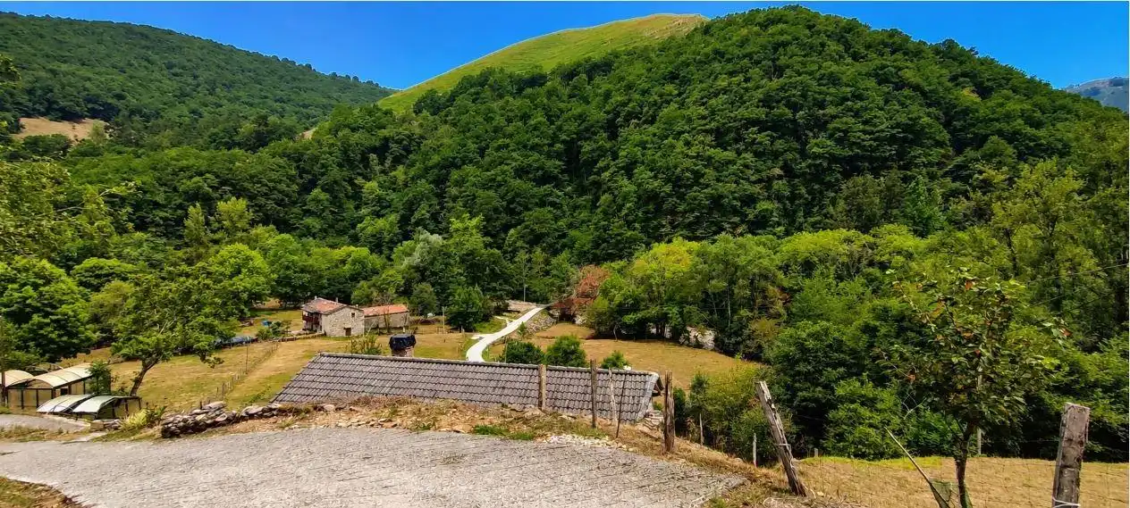 Vista exterior de Casa o chalet en venta en Vega de Pas con Jardín privado