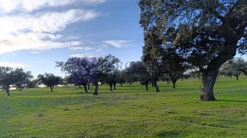 Foto 5 de Casa o xalet en venda a Portaje, Cáceres