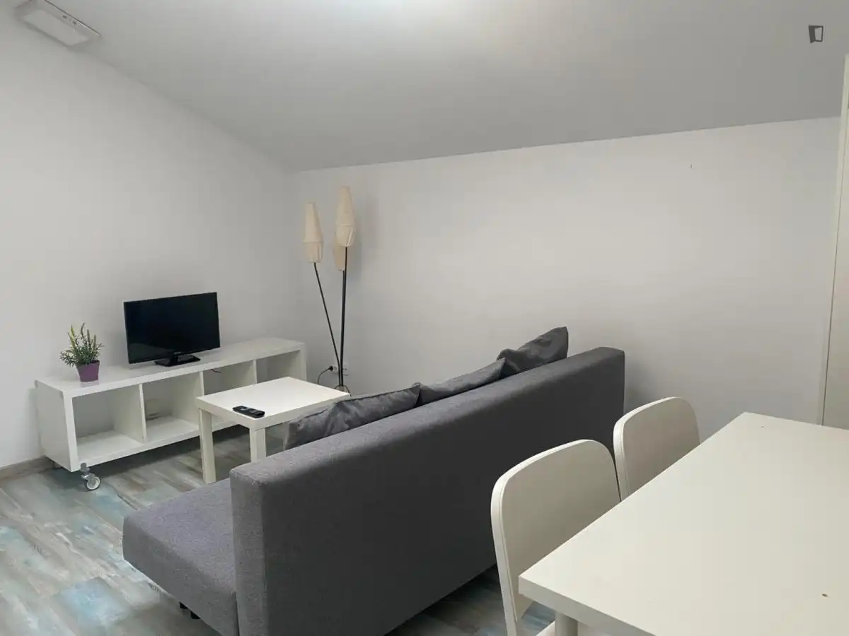 Estudio de alquiler en Embajadores - Lavapiés