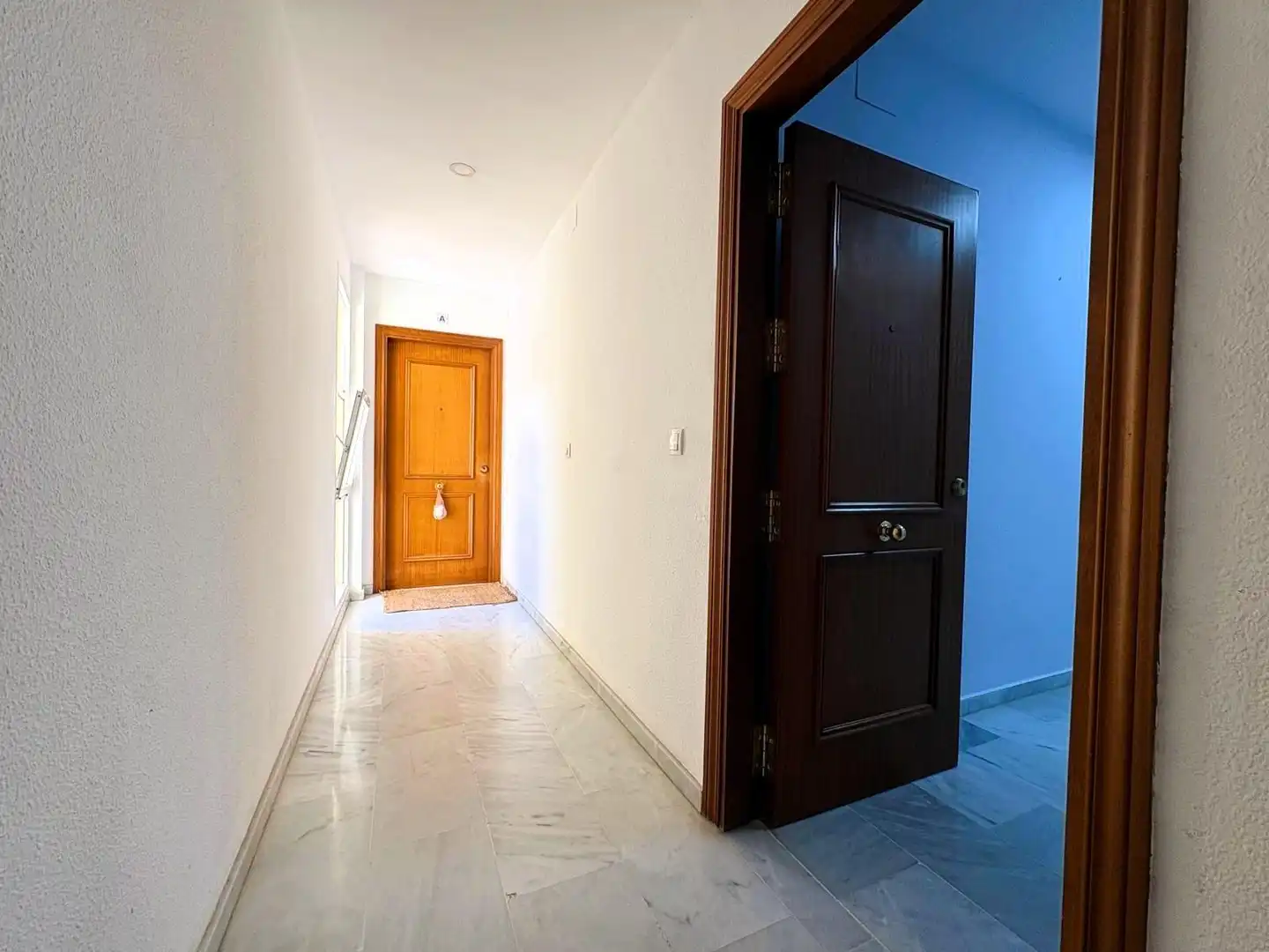 Appartamento con terrazza in affitto a Avenida Avenida Ciencias, imagen 48
