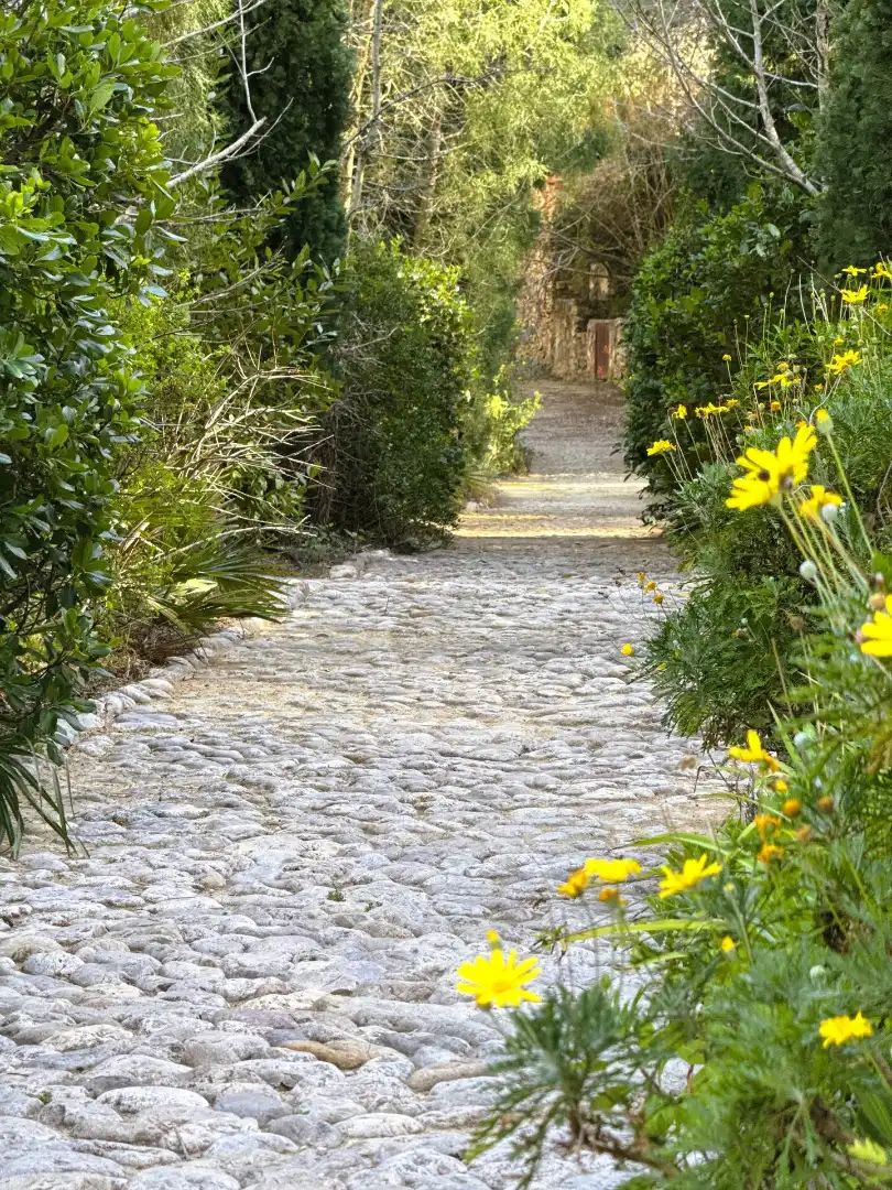 Exterior view of Country homes for sale in Alcalà de Xivert  with Heating, Private garden and Swimming Pool