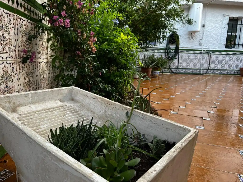 Houses for rent in Paseo Puerto Horca, Casabermeja