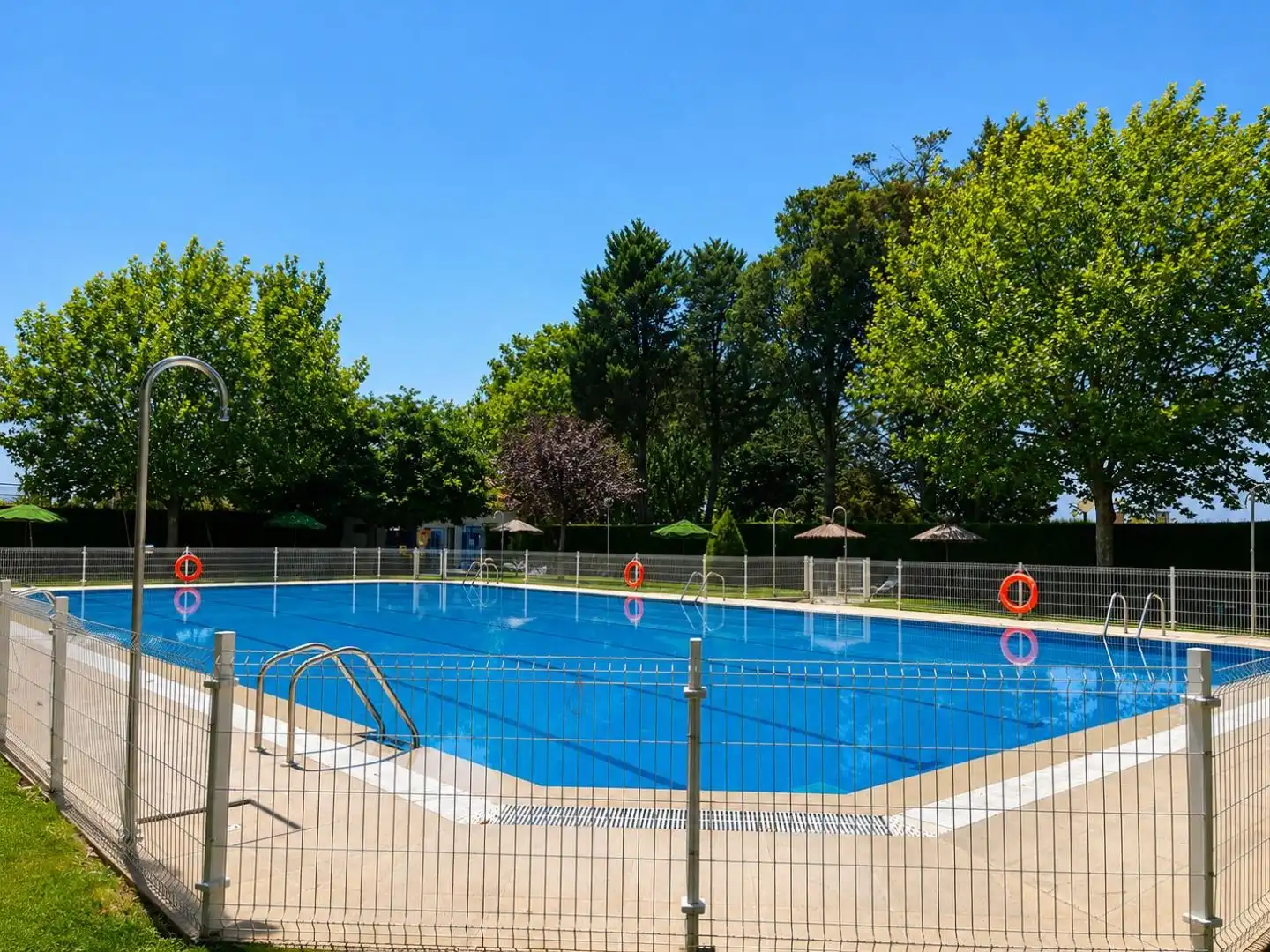 Piscina de Casa o chalet en venta en Algete Centro