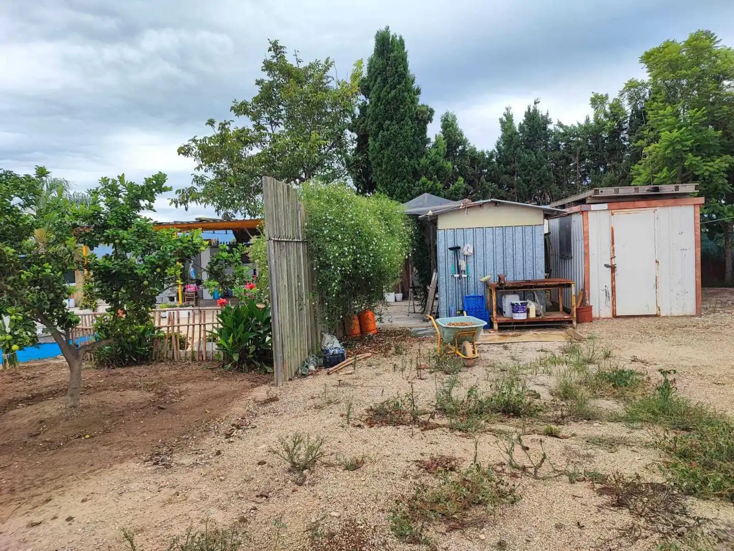 Lands and plots for sale in Sueca ciudad, imagen 12