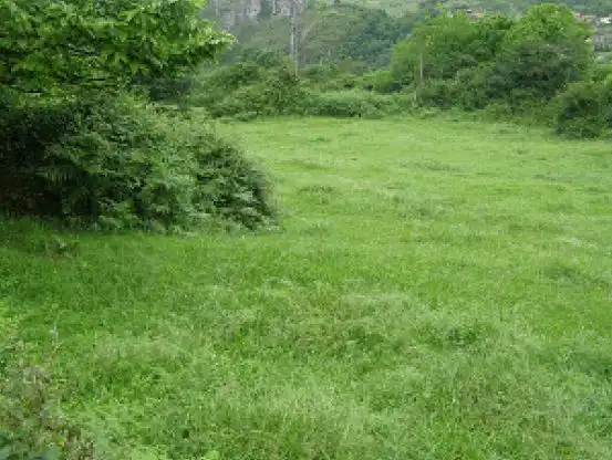 Terreny residencial en venda a Las Regueras, imagen 7