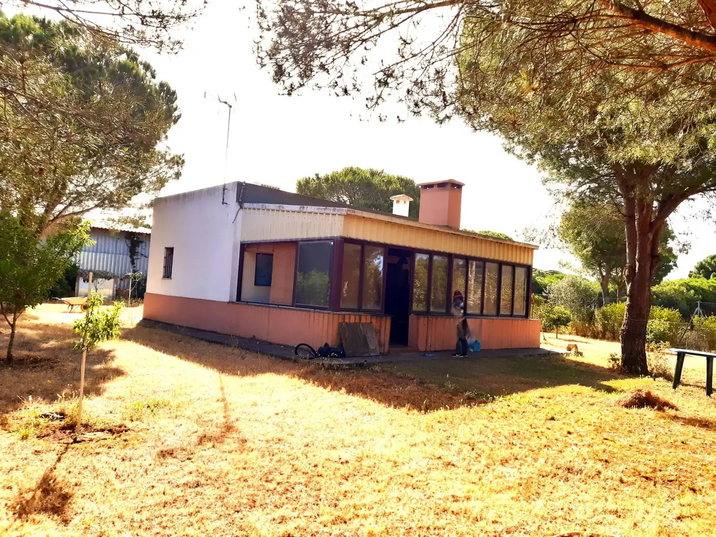 Vista exterior de Casa o chalet en venta en Puerto Real