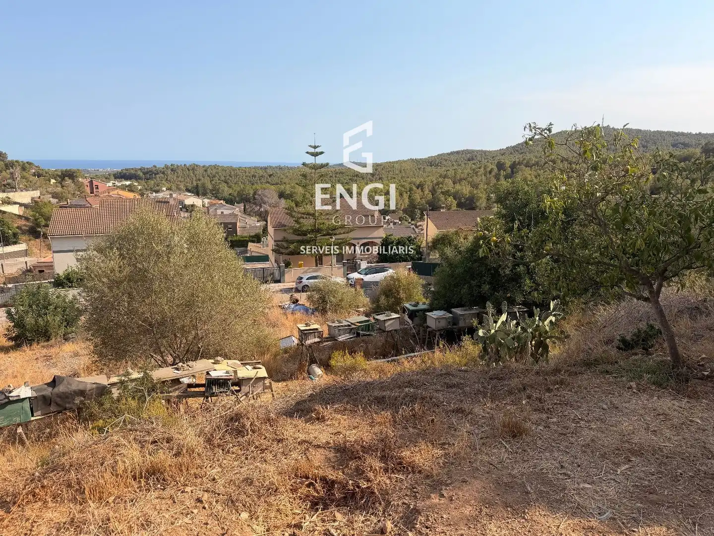 Terreno rustico in vendita a Nou Vendrell, imagen 4