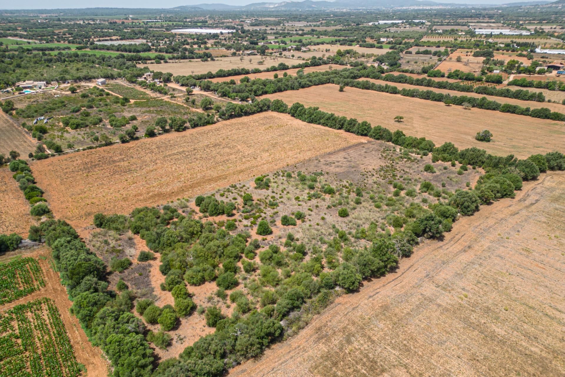 Residencial en venda en Felanitx
