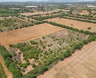 Residencial en venda en Felanitx