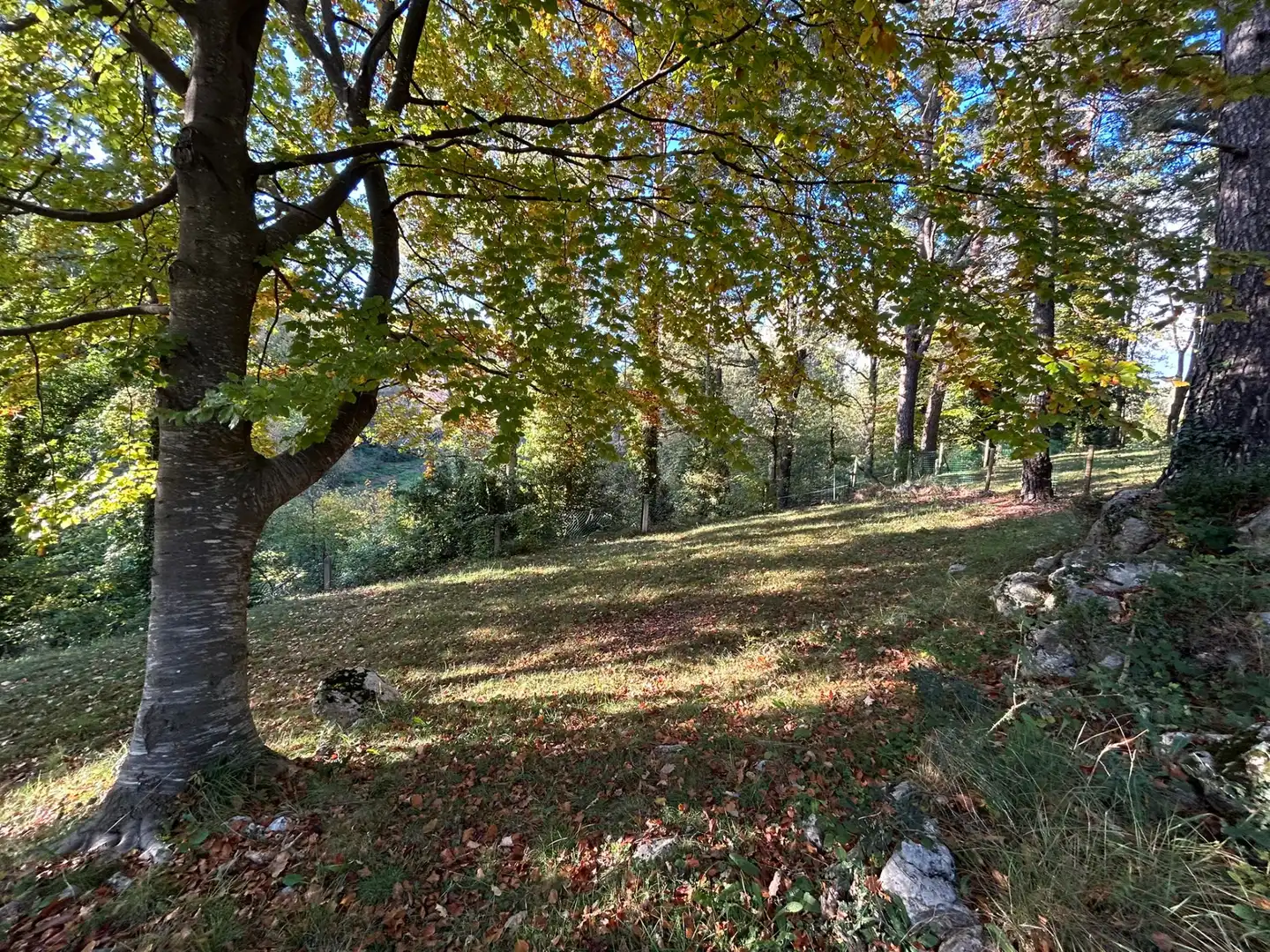 Casa o xalet en venda en Camprodon amb Jardí privat, Terrassa i Moblat