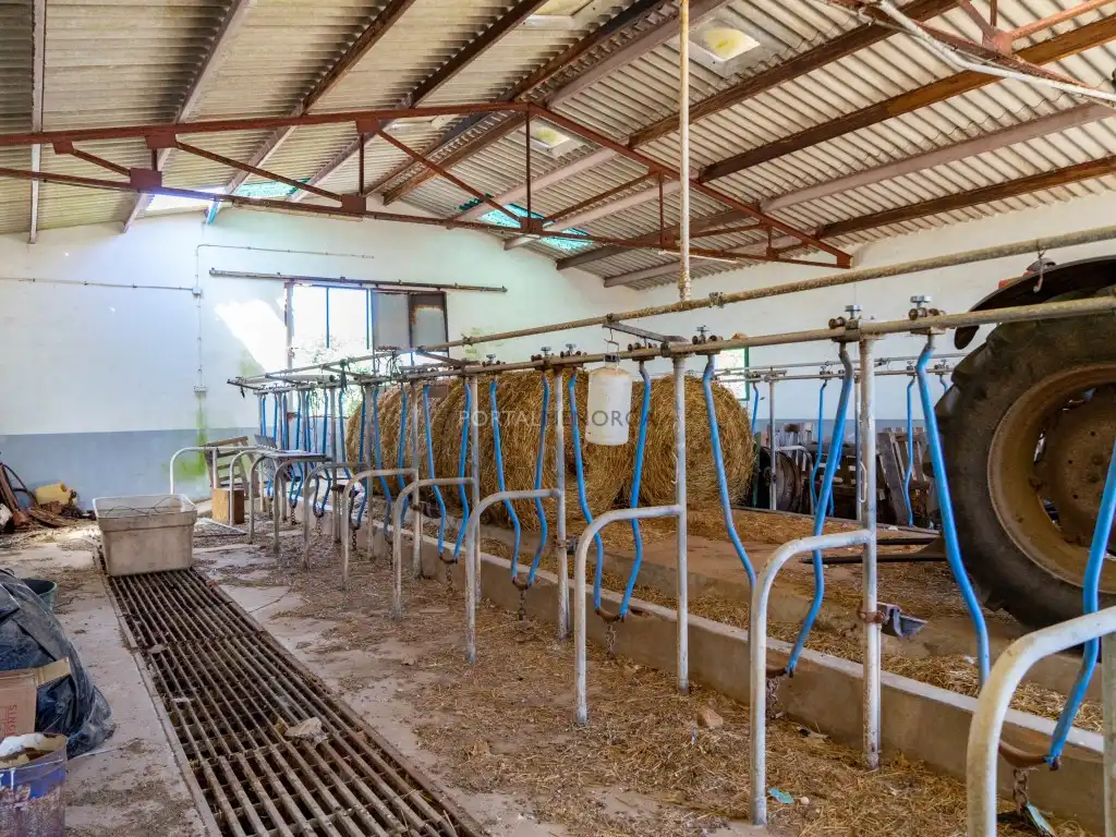 Maison rustique à vendre à Camí d'En Kane, Santa Rosa de Llima, imagen 47