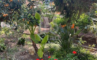 Garden of House or chalet for sale in Alquerías del Niño Perdido