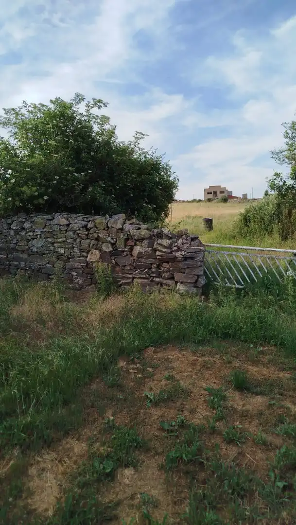 Terreni e lotti in vendita a Santiago Millas, imagen 3