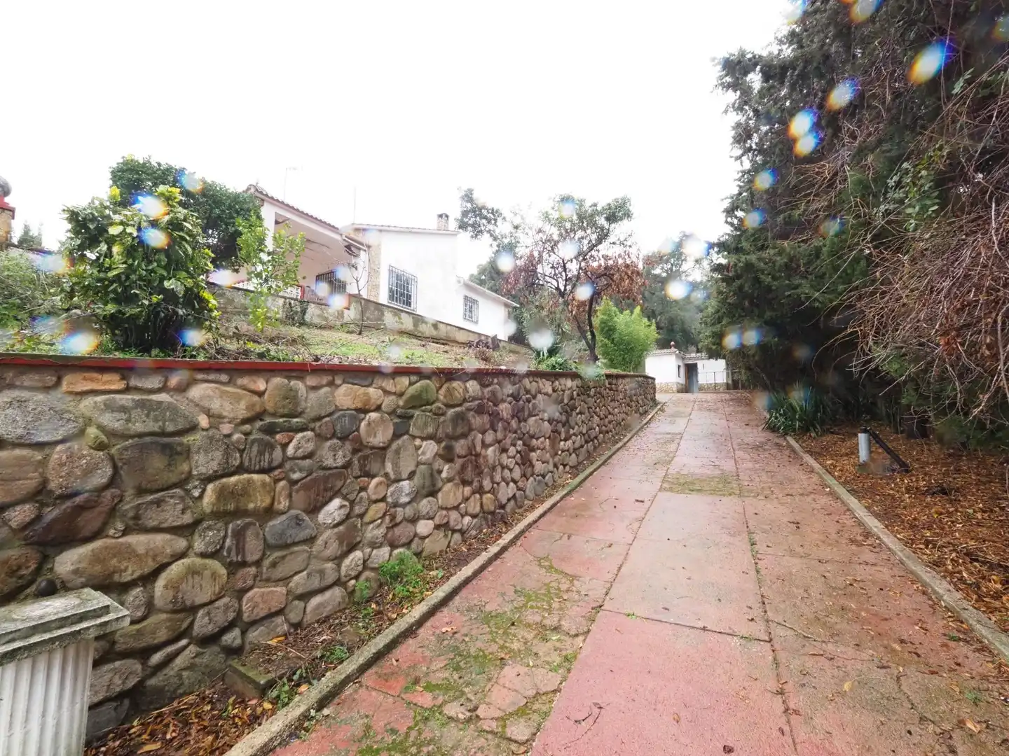 Jardín de Casa o chalet en venta en Tordera con Calefacción, Jardín privado y Terraza