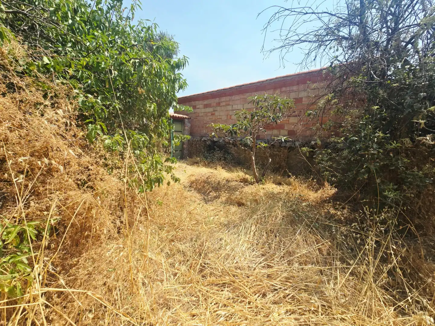 Casa o chalet en venta en Pedroche con Calefacción, Jardín privado y Trastero