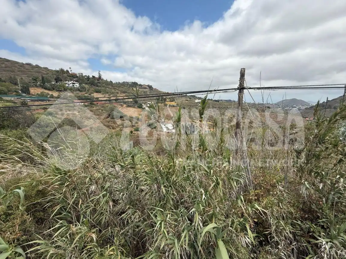 Terrain rustique à vendre à Los Alvarados - Fuente los Berros - Bandama, imagen 8