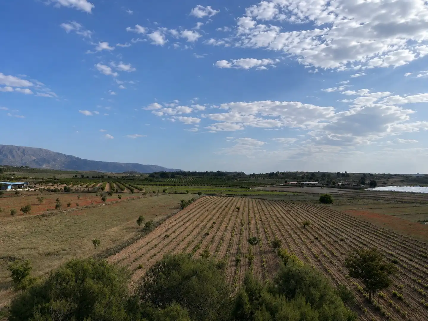 Terreno residencial en venta en El Pinós / Pinoso, imagen 3