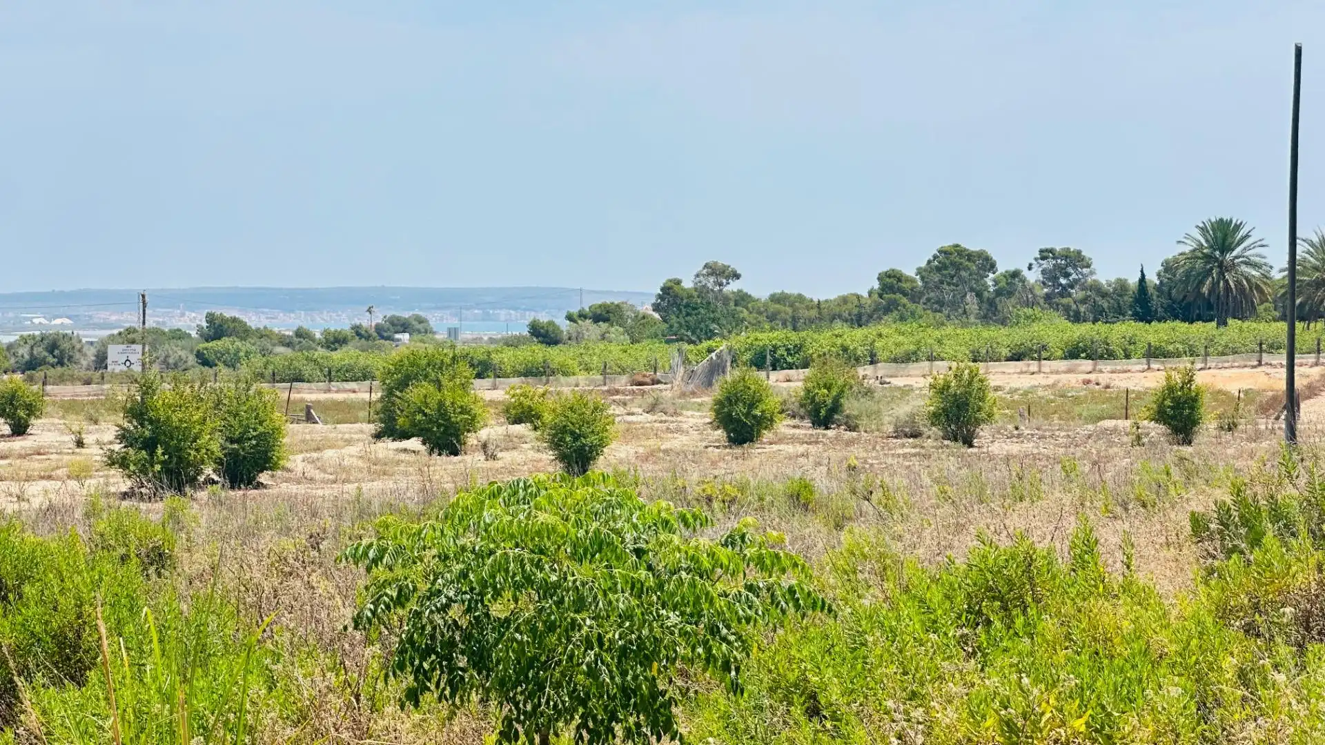 Terrain rustique à vendre à La Marina