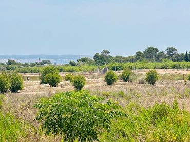 Terreno rustico in vendita a La Marina