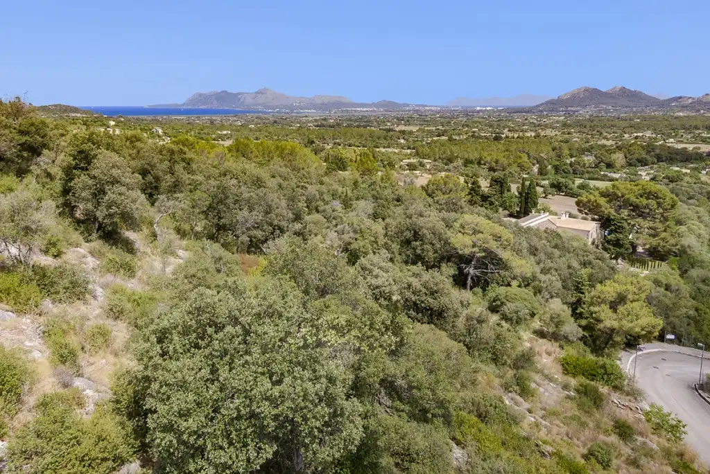 Land for sale in Pollença