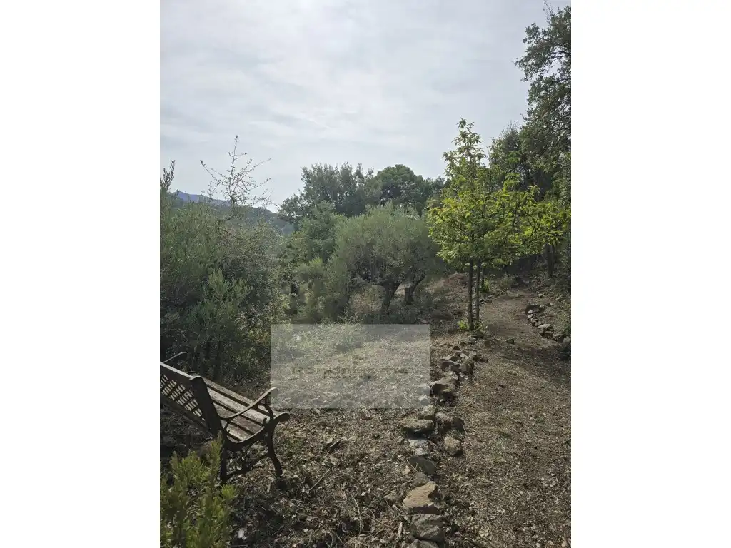 Finca rústica en venda a Poligono 2 Paraje 85 La Porrona, Jubrique