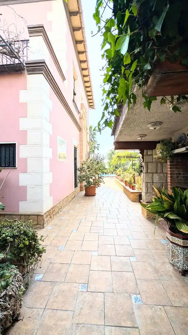 Vista exterior de Casa o chalet en venta en Elche / Elx con Aire acondicionado, Calefacción y Jardín privado