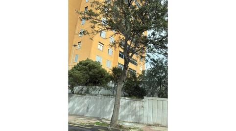 Photo 4 of Houses for sale in Calle Conde de Pallasar, 9, César Casariego - Santa Clara - Nuevo Obrero, Santa Cruz de Tenerife Capital