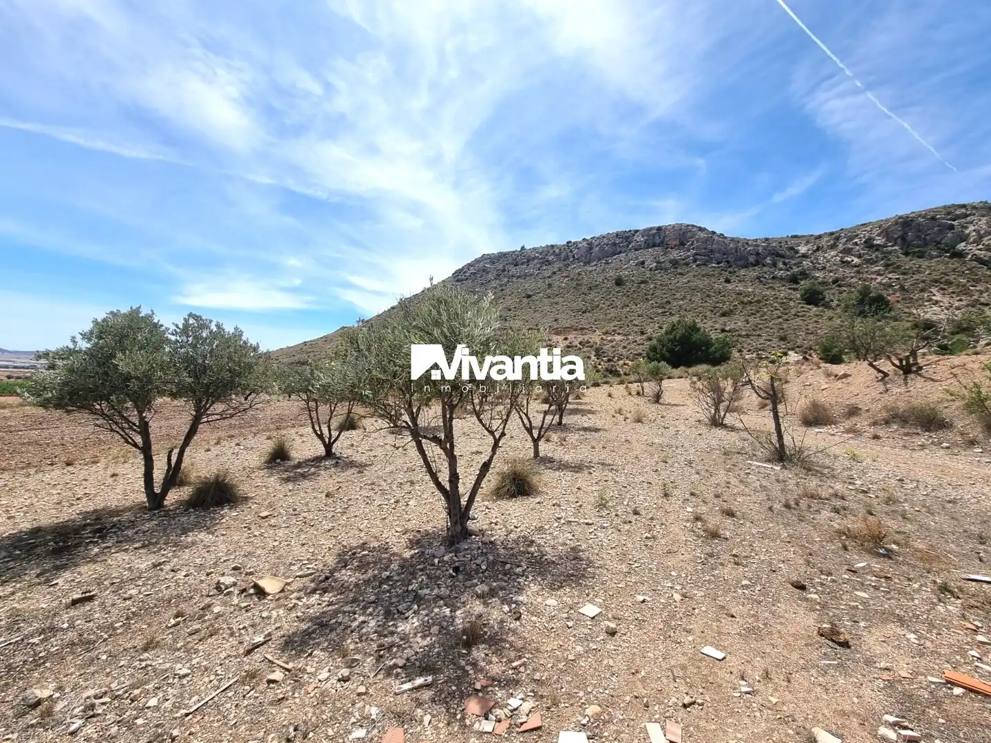 Finca rústica en venda en Lorca amb Jardí privat, Terrassa i Moblat