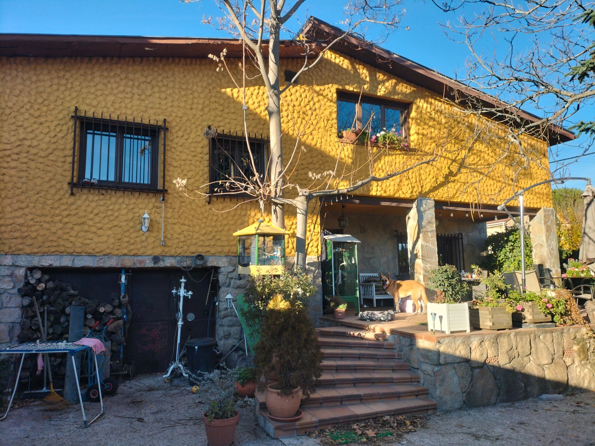 Vista exterior de Casa o xalet en venda en Collado Villalba amb Calefacció, Jardí privat i Parquet