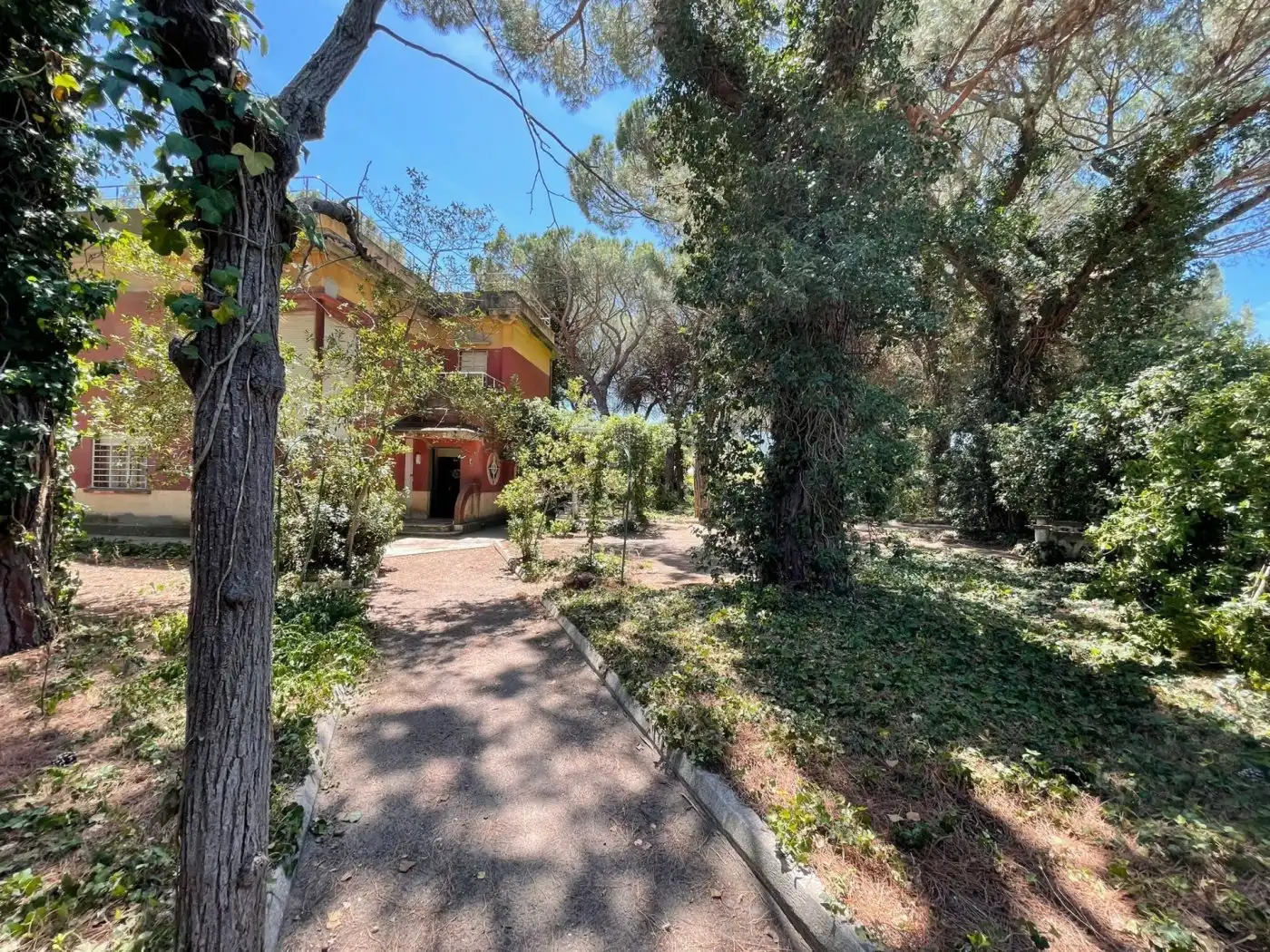Jardí de Casa o xalet en venda en Valladolid