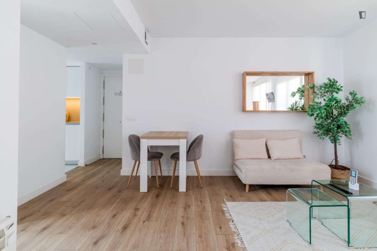 Sala d'estar de Estudi de lloguer en  Madrid Capital amb Aire condicionat, Moblat i Forn