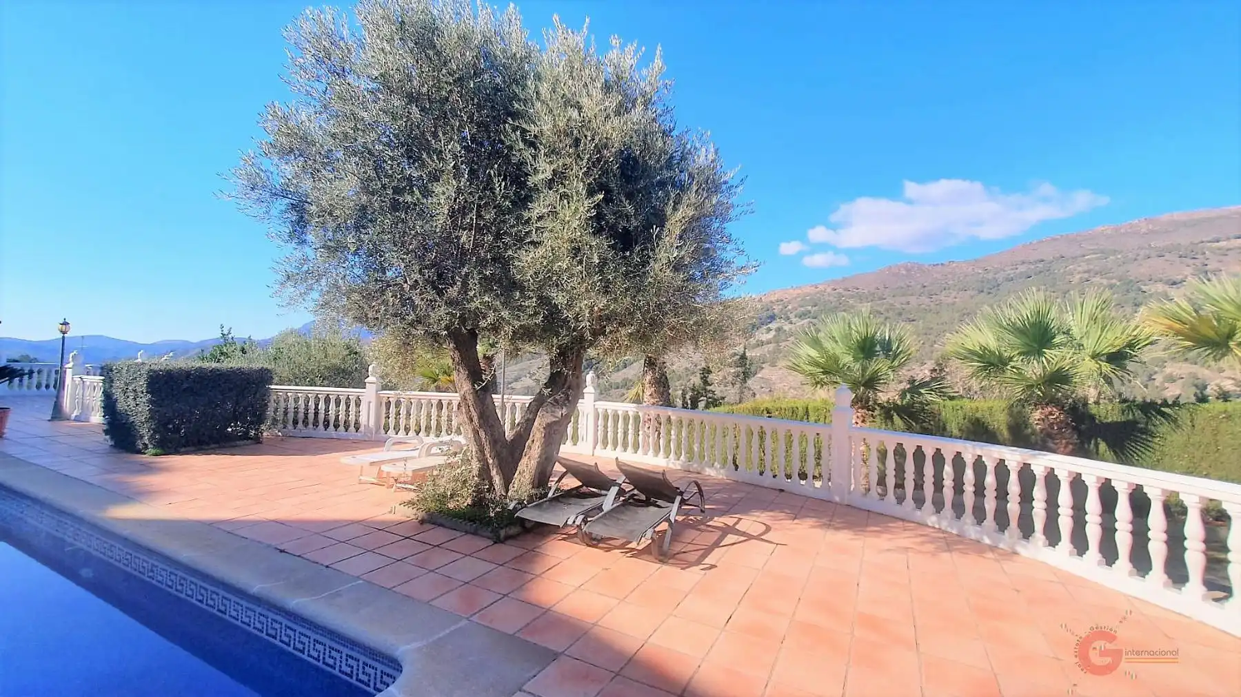 Casa rústica amb piscina en venda a Vélez de Benaudalla, imagen 11
