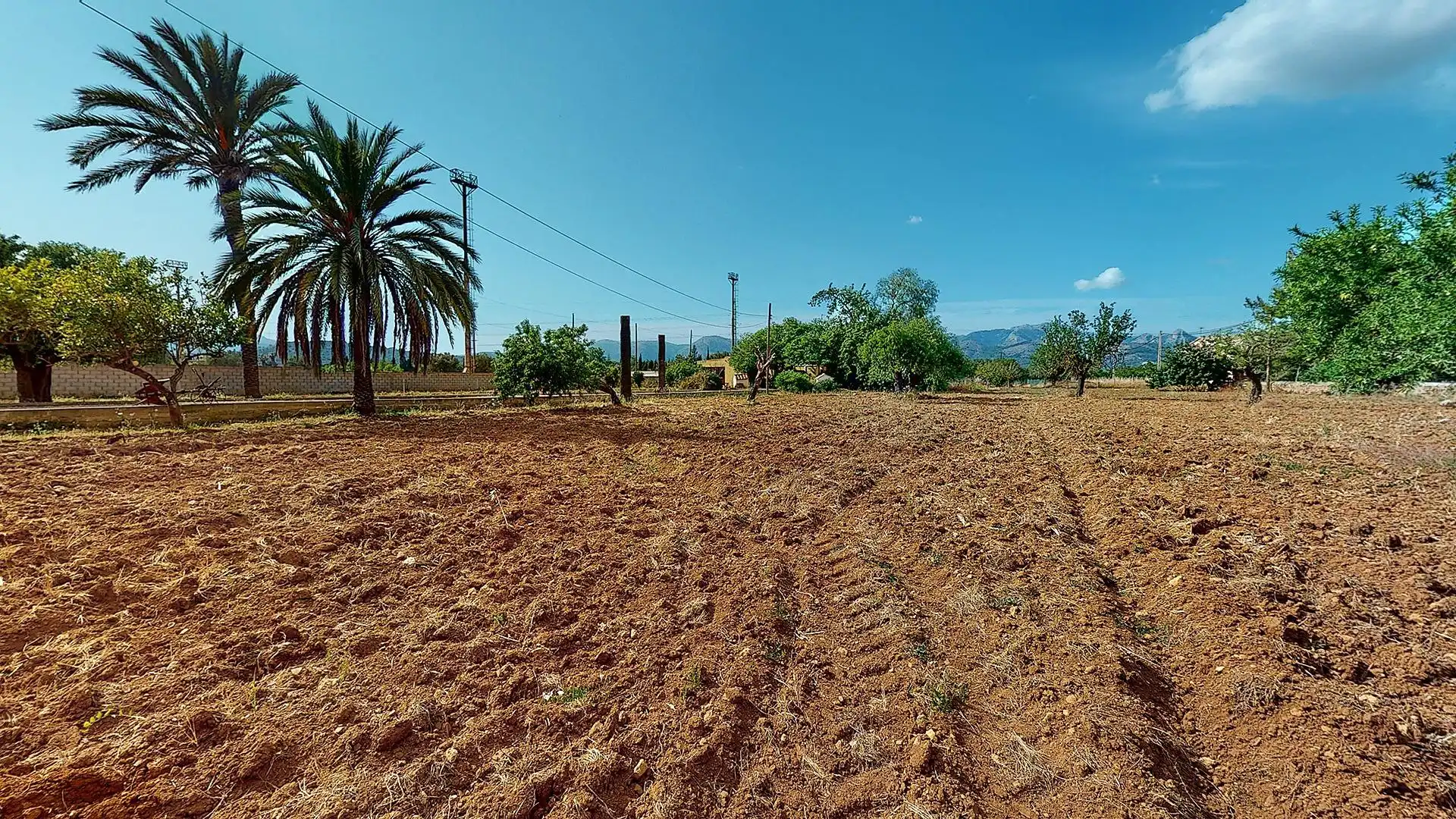 Finca rústica en venda en  Palma de Mallorca