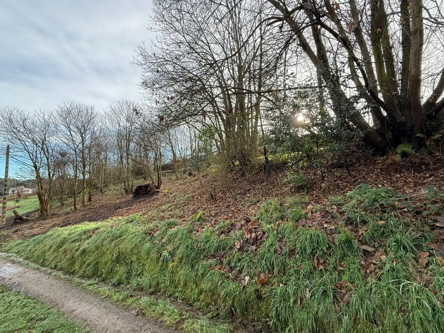 Lands and plots for sale in Pillarno - Aldea Pipe, imagen 3