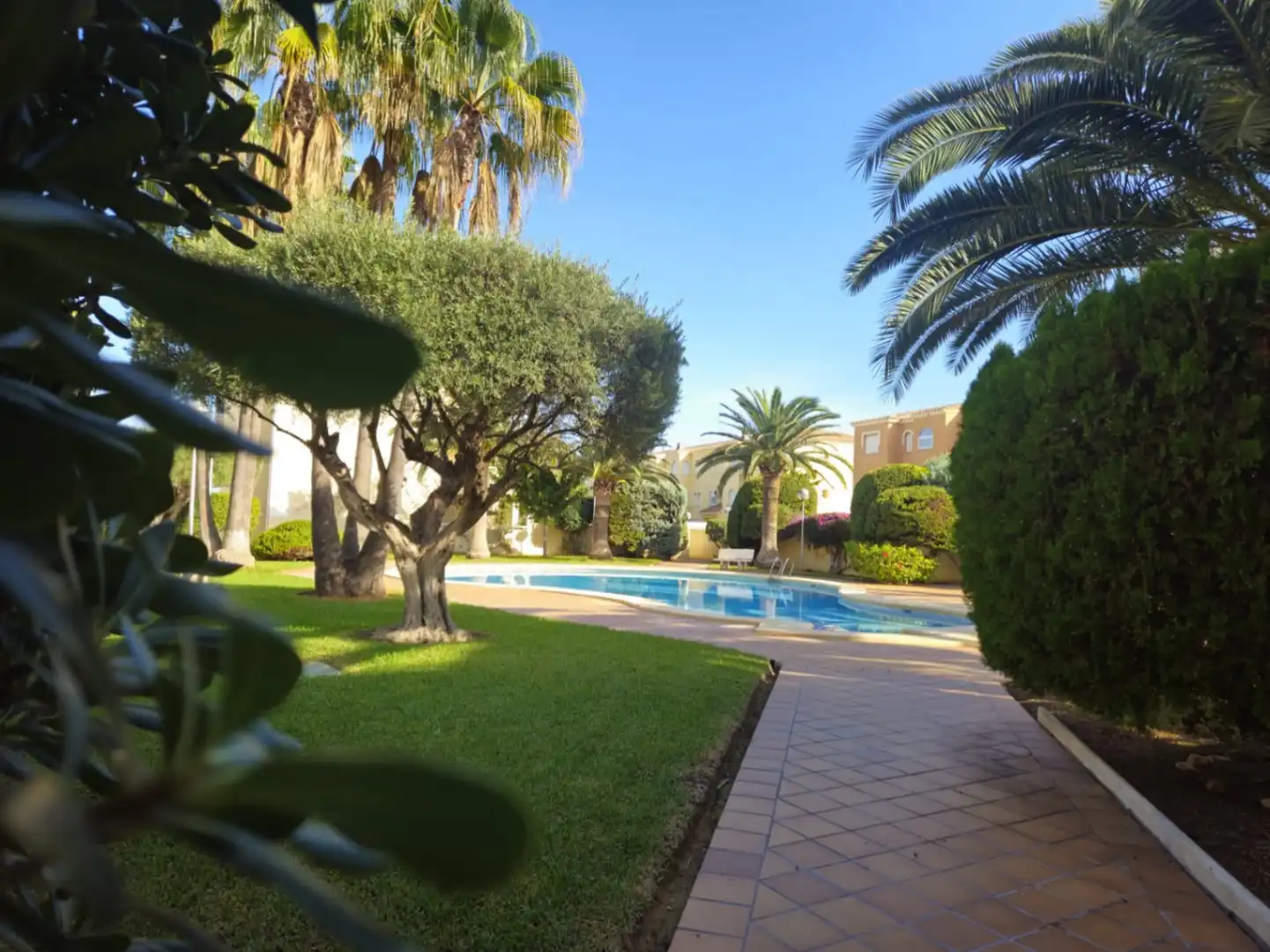 Attique avec piscine à vendre à Las Marinas / Les Marines, imagen 2