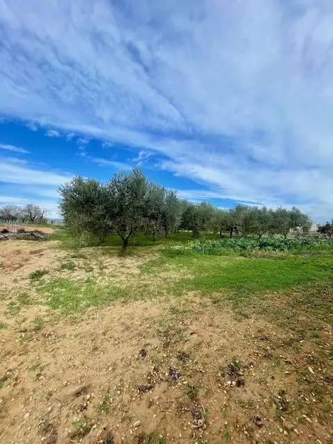Finca rústica en venda en Sant Martí Sarroca amb Calefacció, Terrassa i Traster