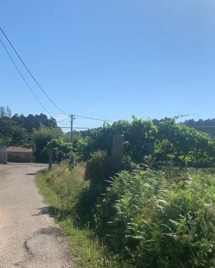 Lands and plots for sale in Barrio Mallón 40, imagen 8