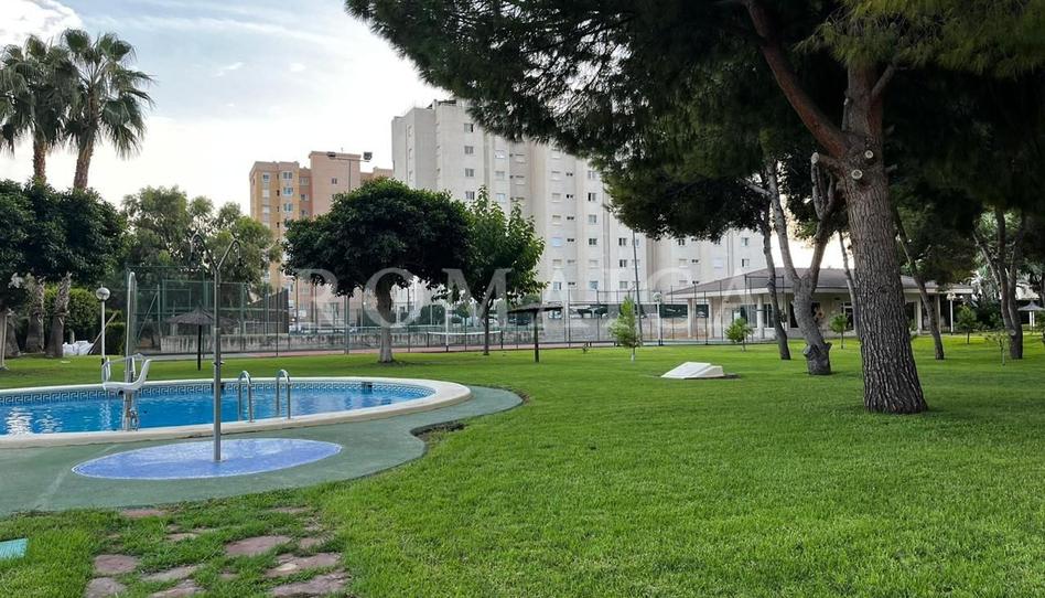 Photo 1 of Flat to rent in Oviedo, 15, Playa de San Juan, Alicante