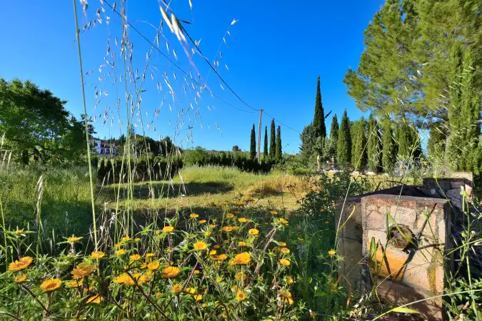 Country house with terrace for sale in Arriate, imagen 6