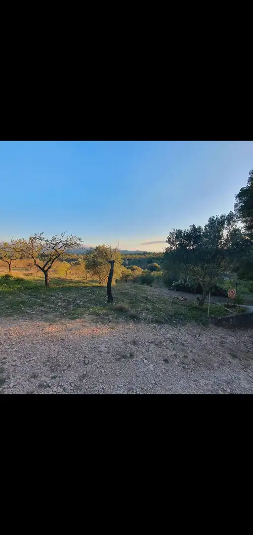 Casa en venta en Móra d'Ebre, imagen 9