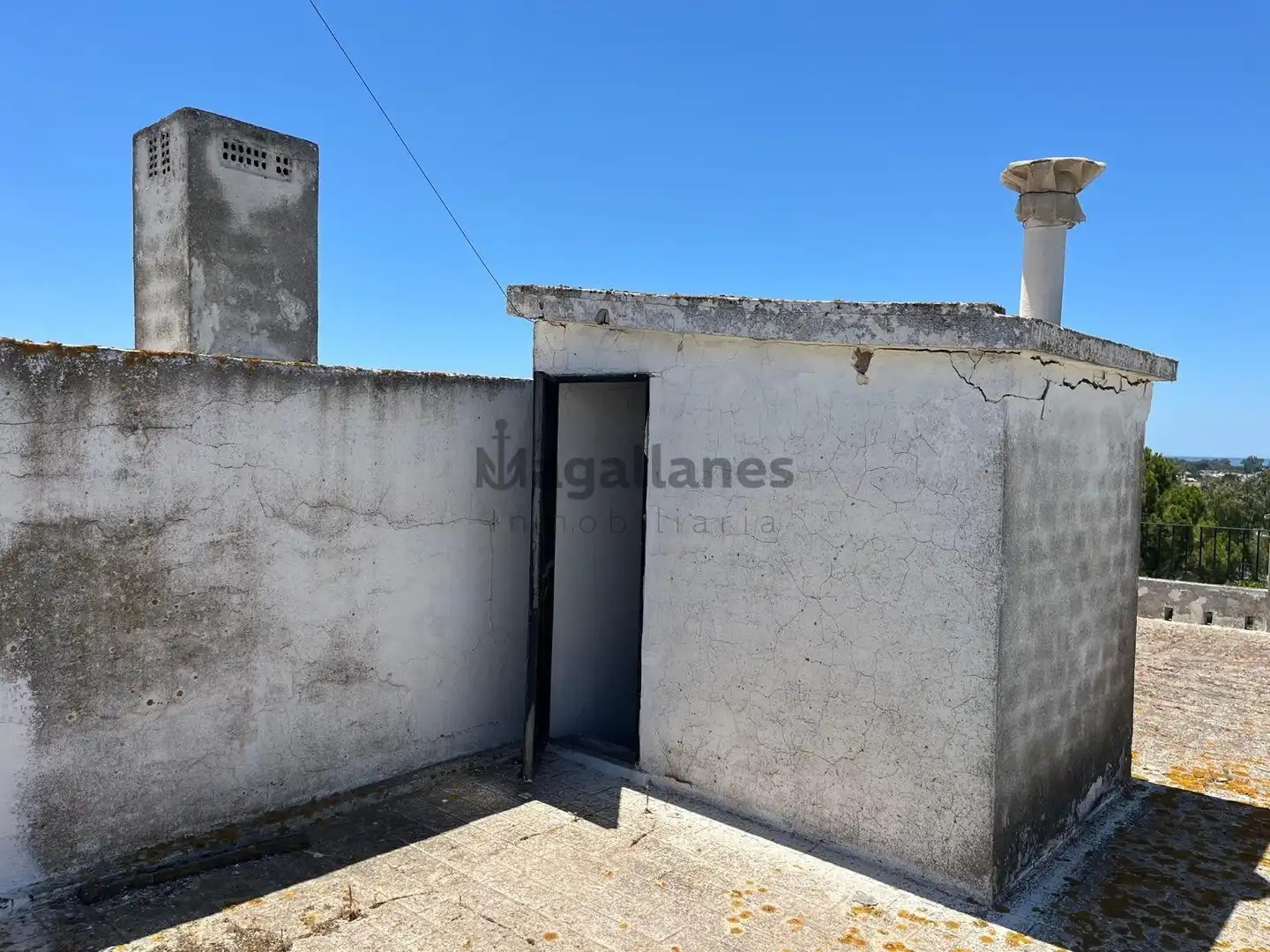 Casa con jardín en venta en Las Palmeras - Dehesilla, imagen 4