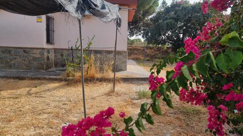 Foto 4 de Casa o chalet en venta en Camino del Alamillo, 2, Lucena del Puerto, Huelva