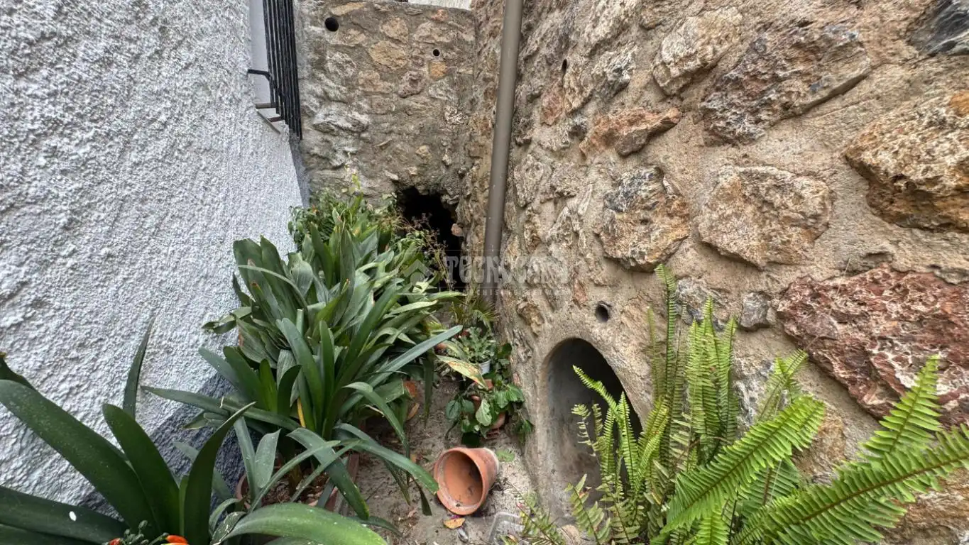 Vista exterior de Casa adosada en venda en Murtas amb Jardí privat