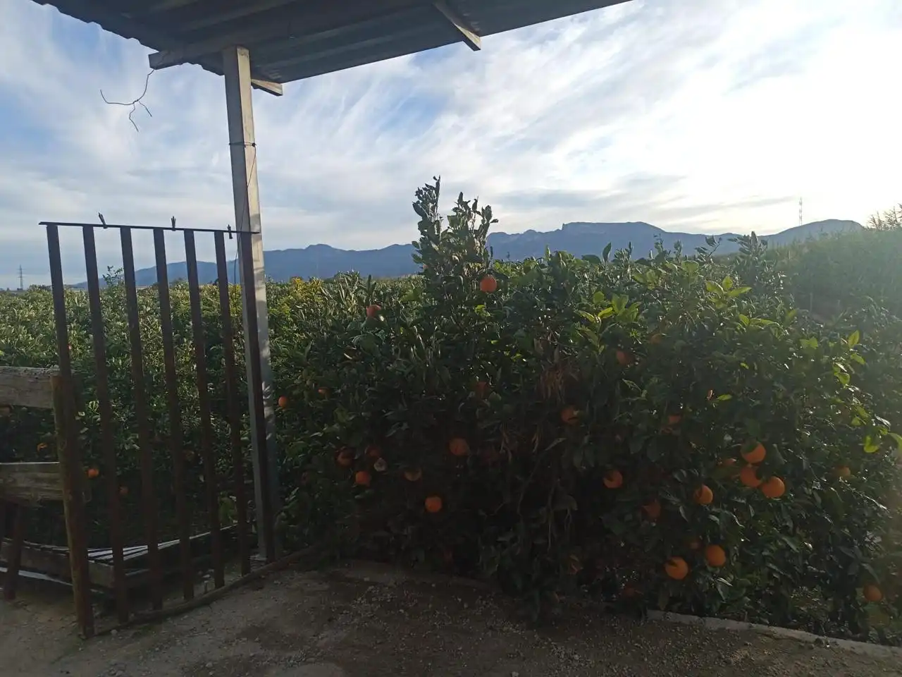 Country homes for sale in Sueca